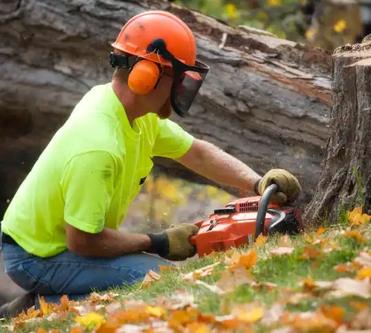 tree services Freeman